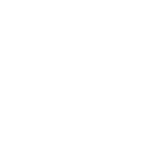 Development Strategy